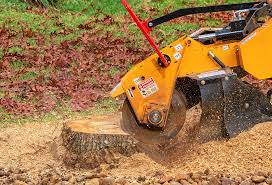 Best Lawn Pest Prevention  in Maple Park, IL