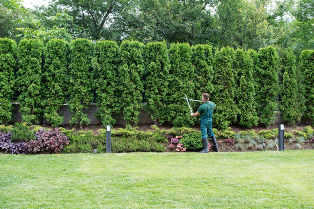 Best Lawn Watering Services  in Maple Park, IL