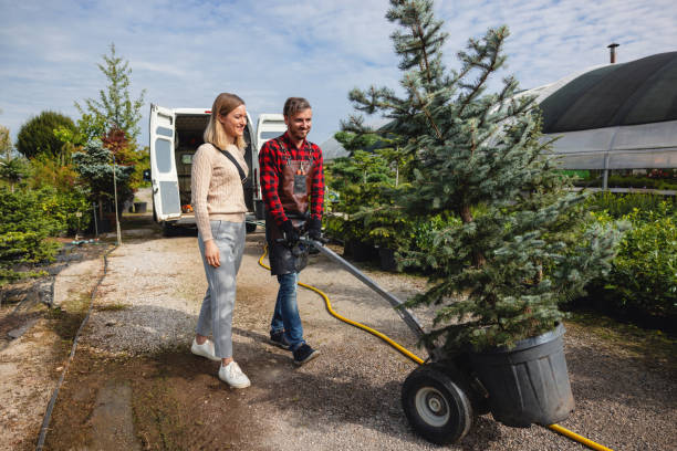 Best Organic Lawn Care Solutions  in Maple Park, IL